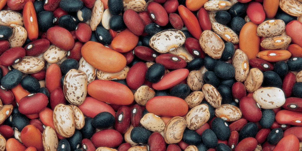 Detail Pic Of Beans Nomer 52