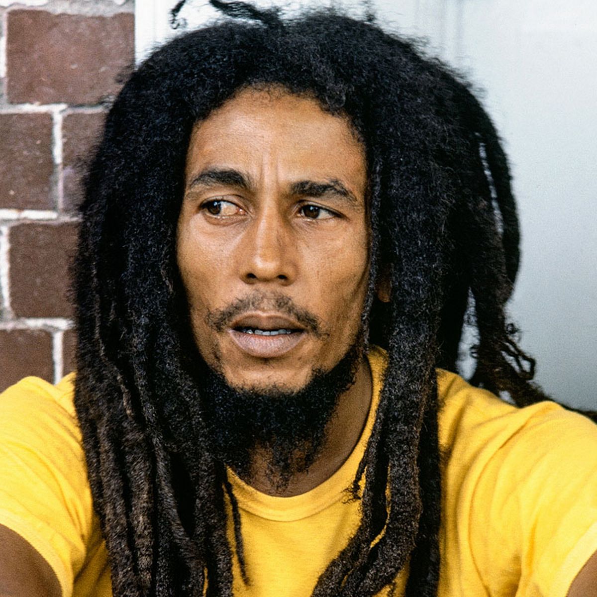 Detail Pic Of Bob Marley Nomer 2