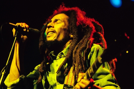 Detail Pic Of Bob Marley Nomer 23