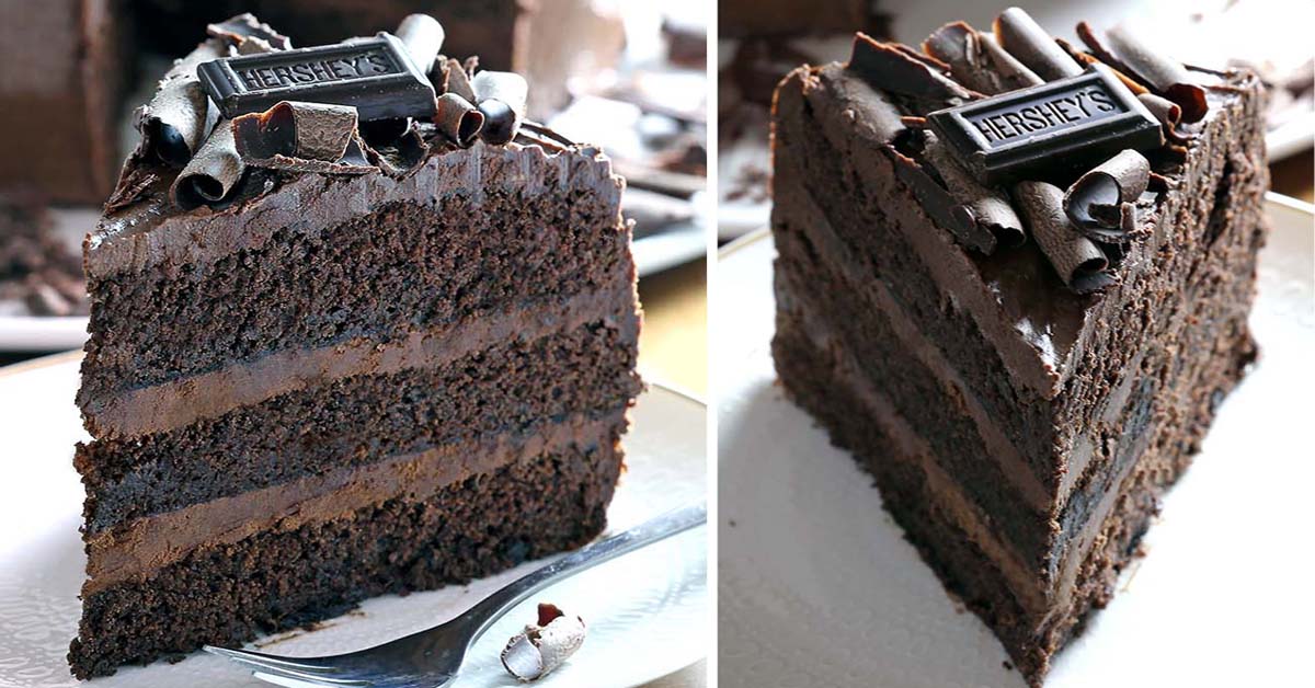 Detail Pic Of Chocolate Cake Nomer 46