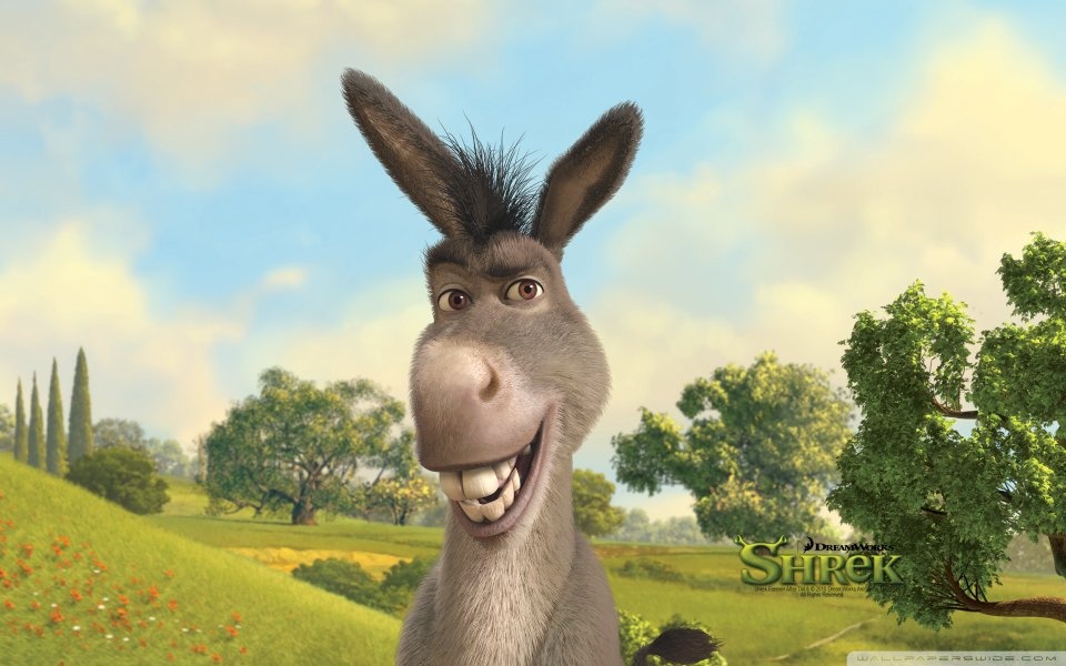 Detail Pic Of Donkey From Shrek Nomer 12