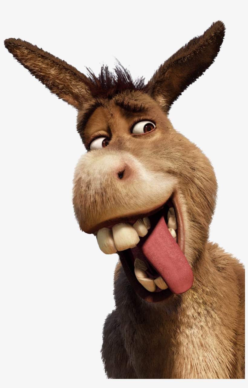 Detail Pic Of Donkey From Shrek Nomer 19