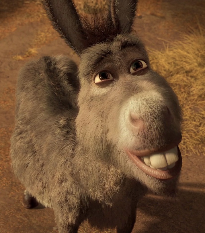 Detail Pic Of Donkey From Shrek Nomer 3