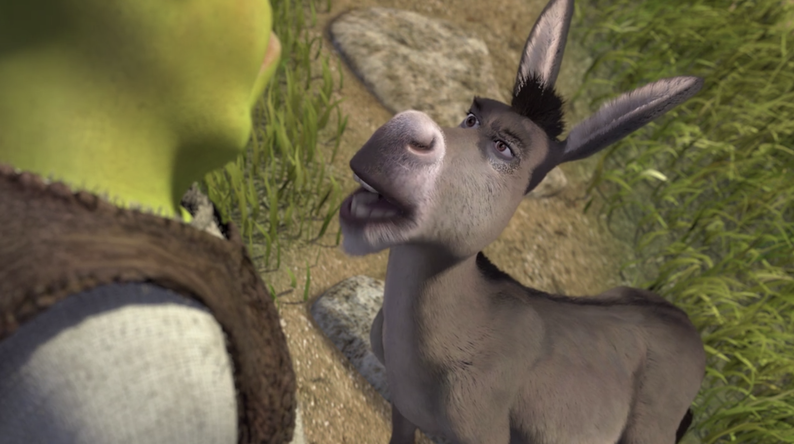 Detail Pic Of Donkey From Shrek Nomer 46