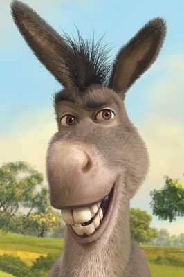 Detail Pic Of Donkey From Shrek Nomer 8