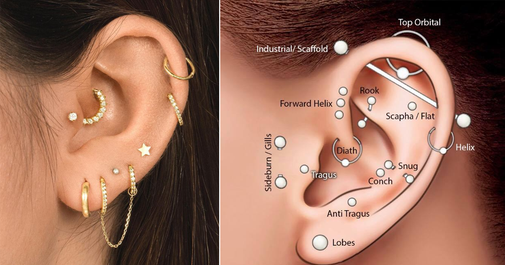 Detail Pic Of Ear Piercings Nomer 11