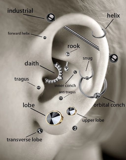 Detail Pic Of Ear Piercings Nomer 17