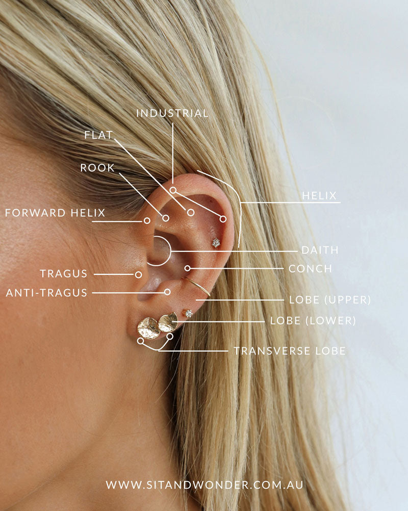 Detail Pic Of Ear Piercings Nomer 45