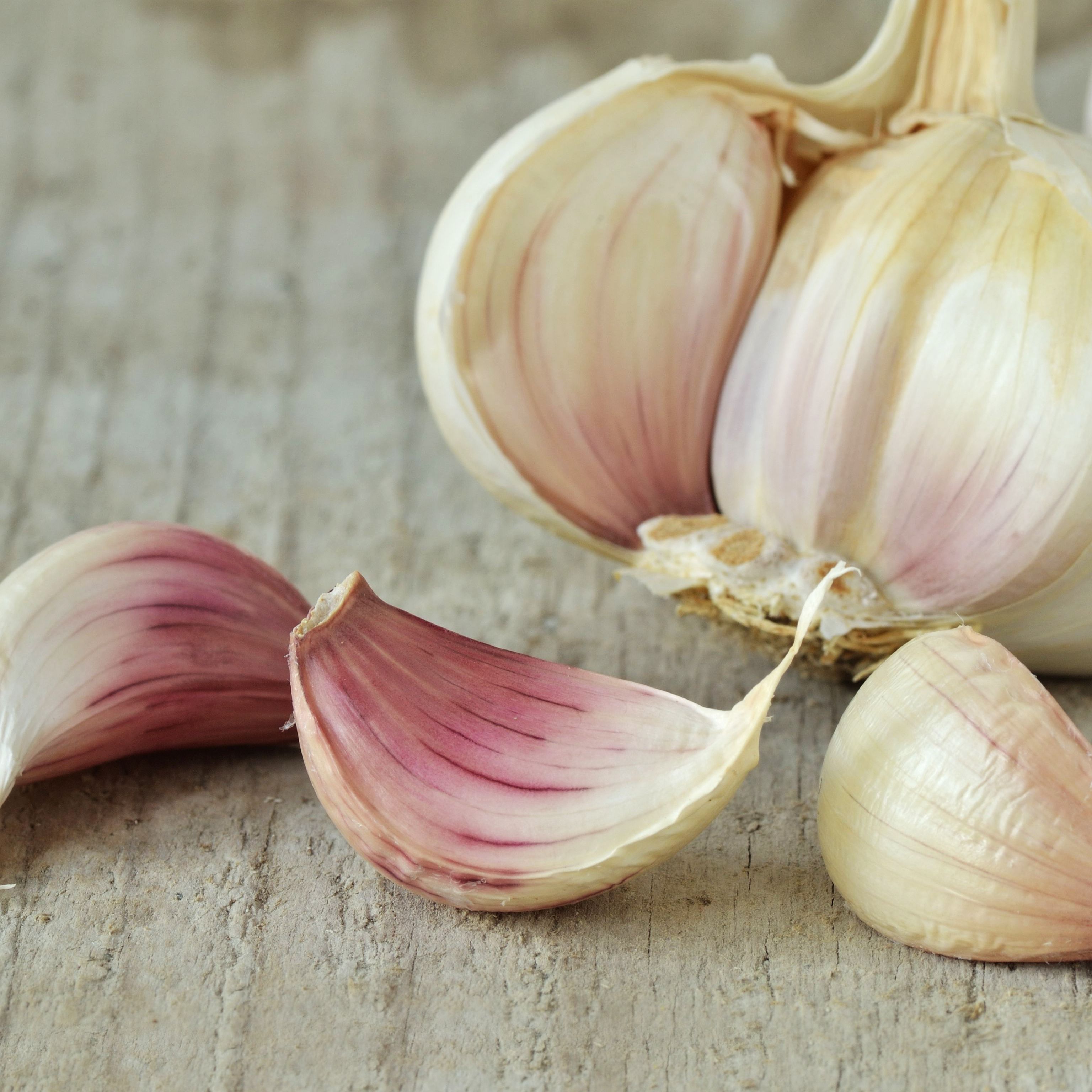 Detail Pic Of Garlic Nomer 22