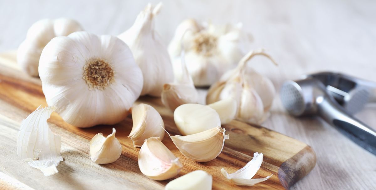 Detail Pic Of Garlic Nomer 31