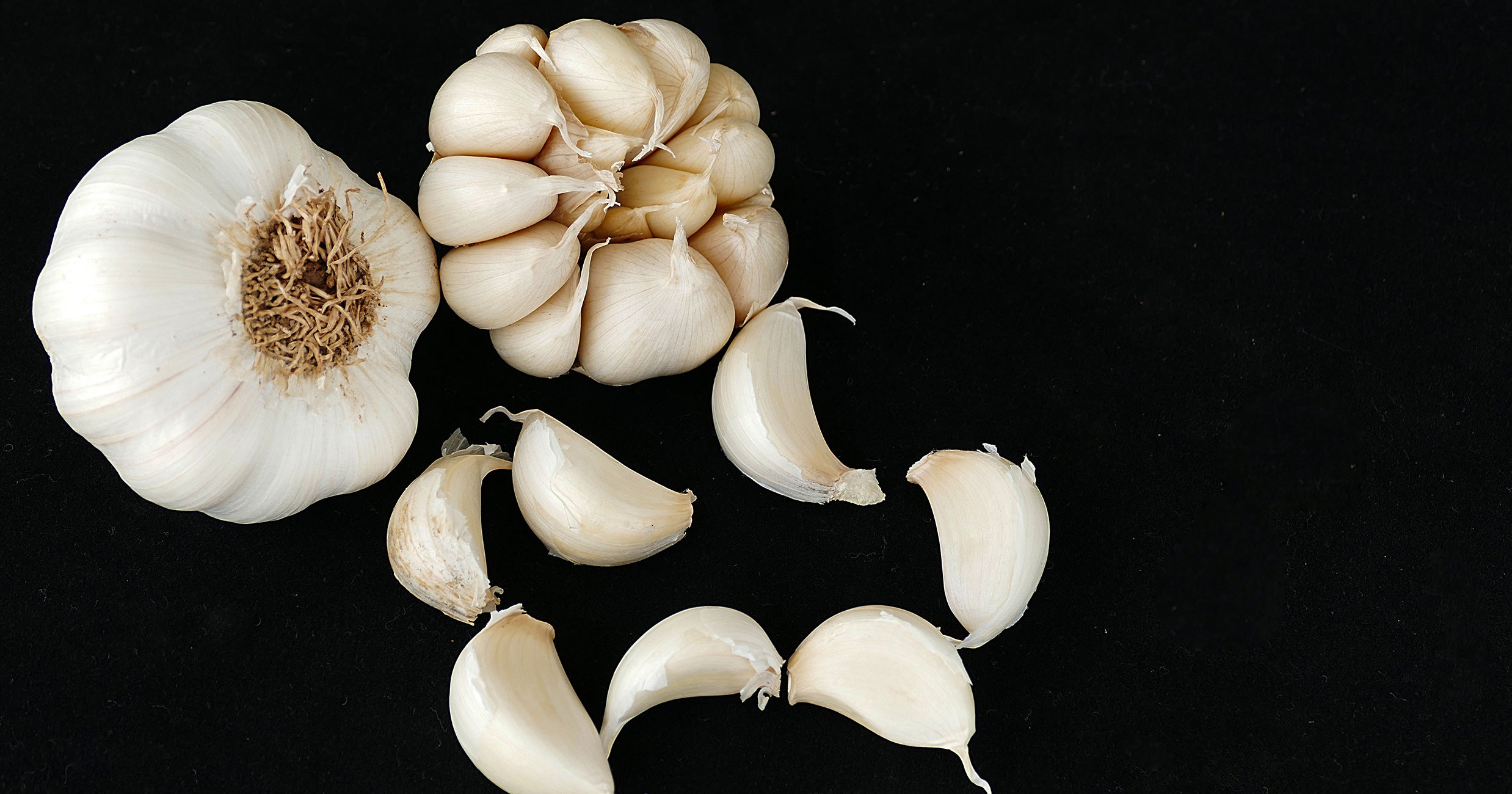 Detail Pic Of Garlic Nomer 33