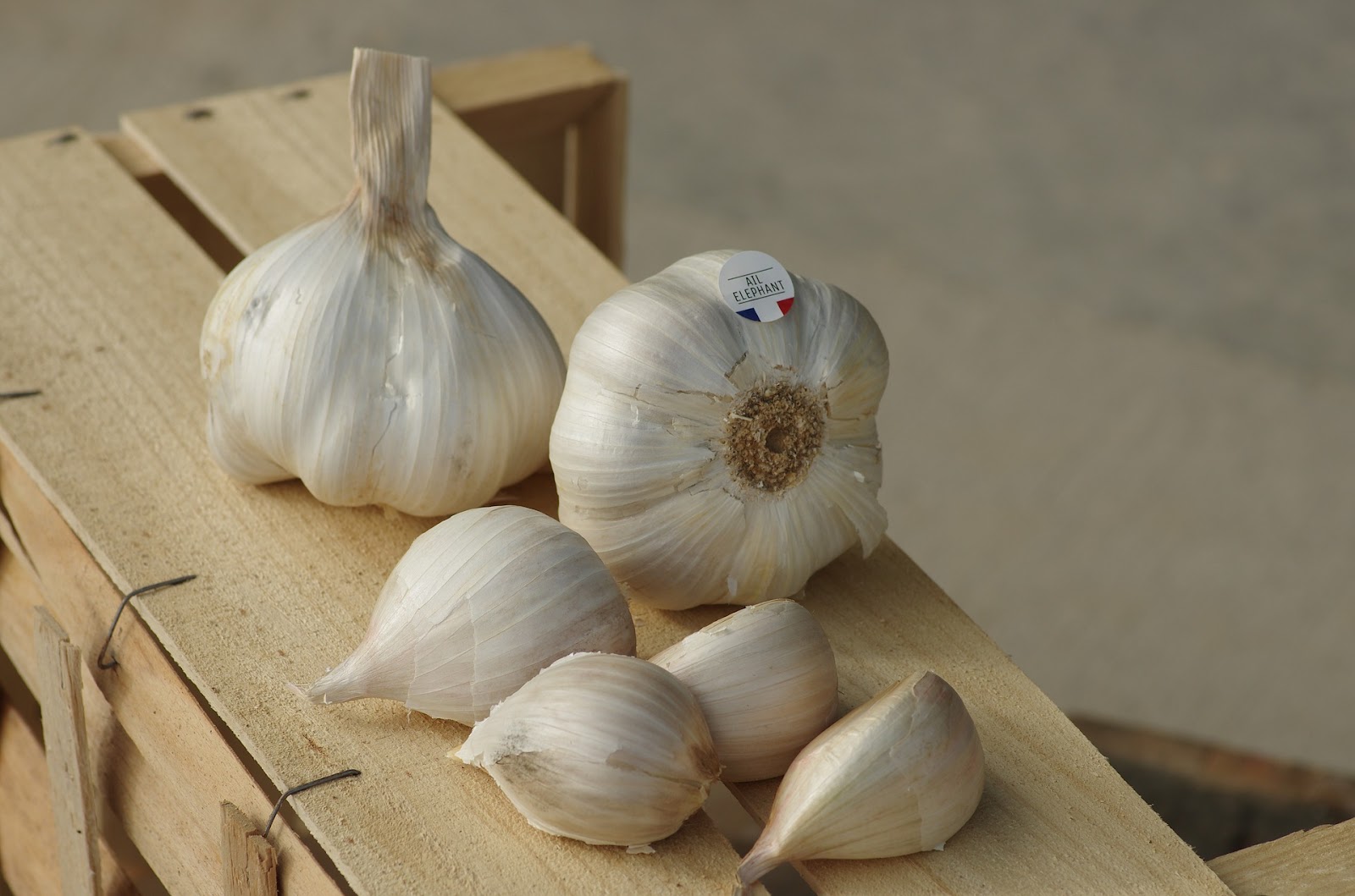 Detail Pic Of Garlic Nomer 57