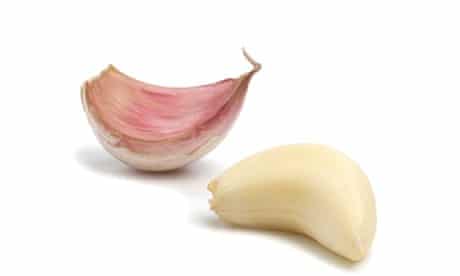 Detail Pic Of Garlic Clove Nomer 17