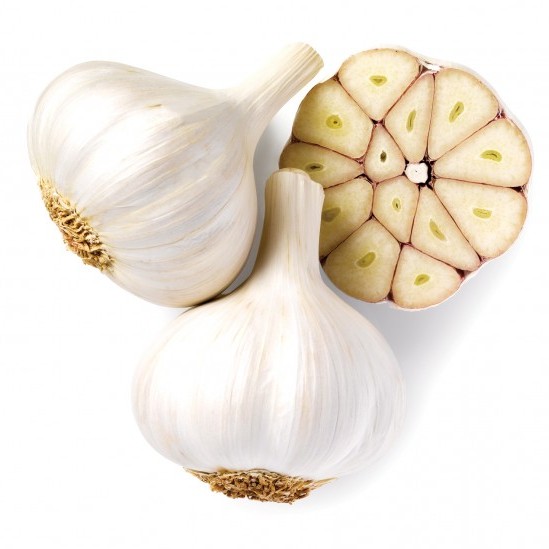 Detail Pic Of Garlic Clove Nomer 46