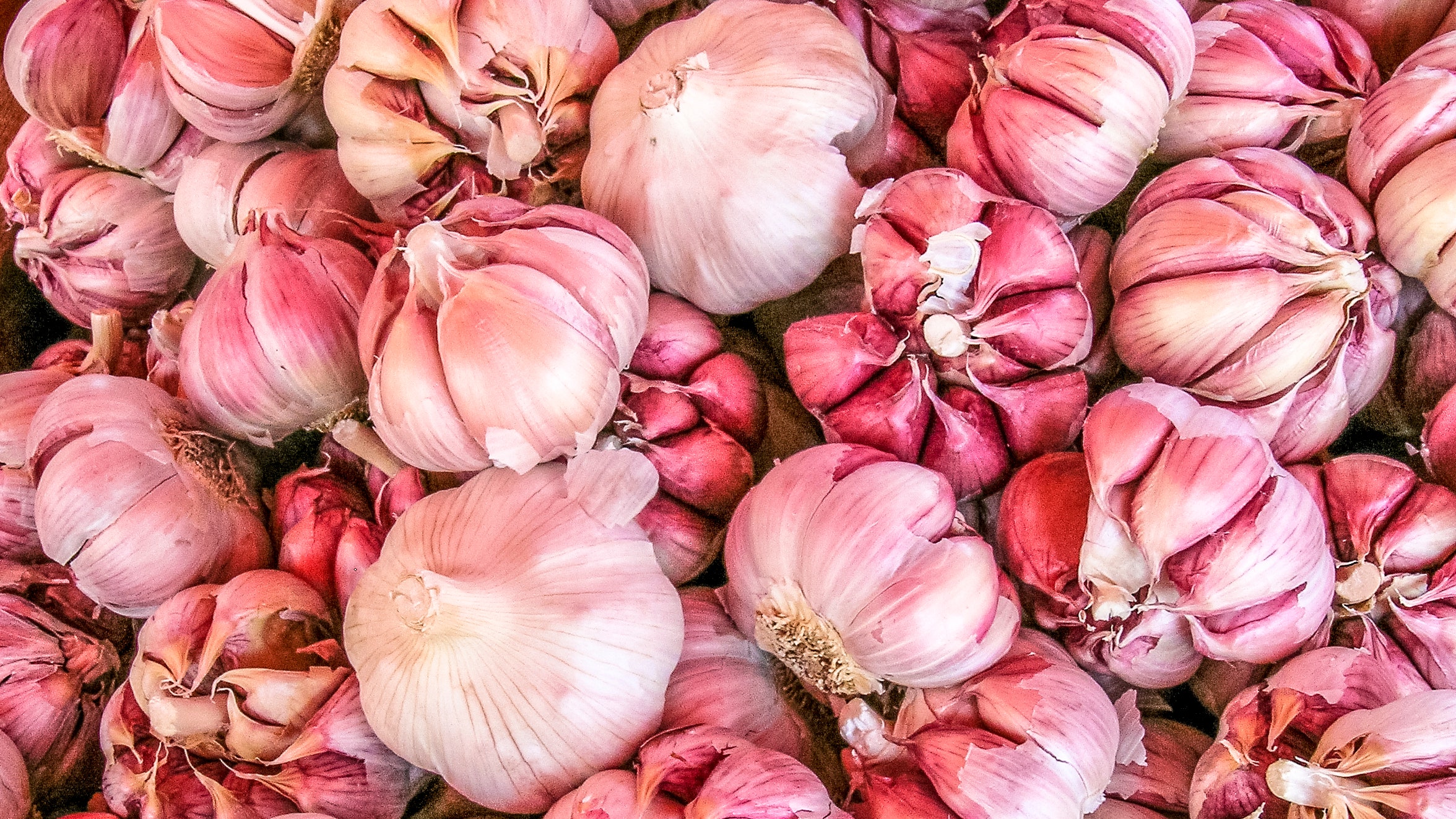 Detail Pic Of Garlic Clove Nomer 48