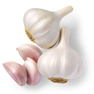 Detail Pic Of Garlic Clove Nomer 9