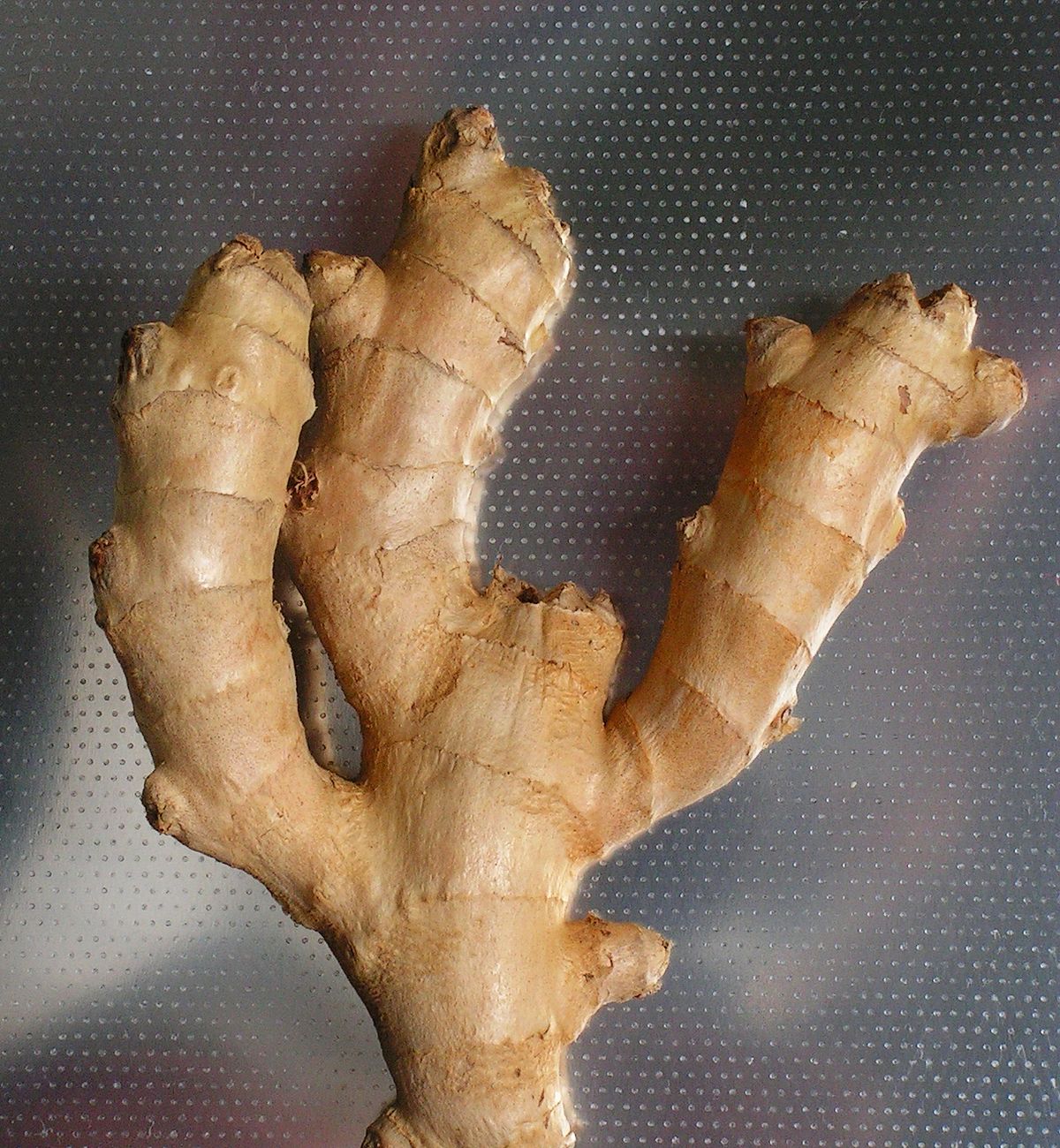 Detail Pic Of Ginger Root Nomer 22