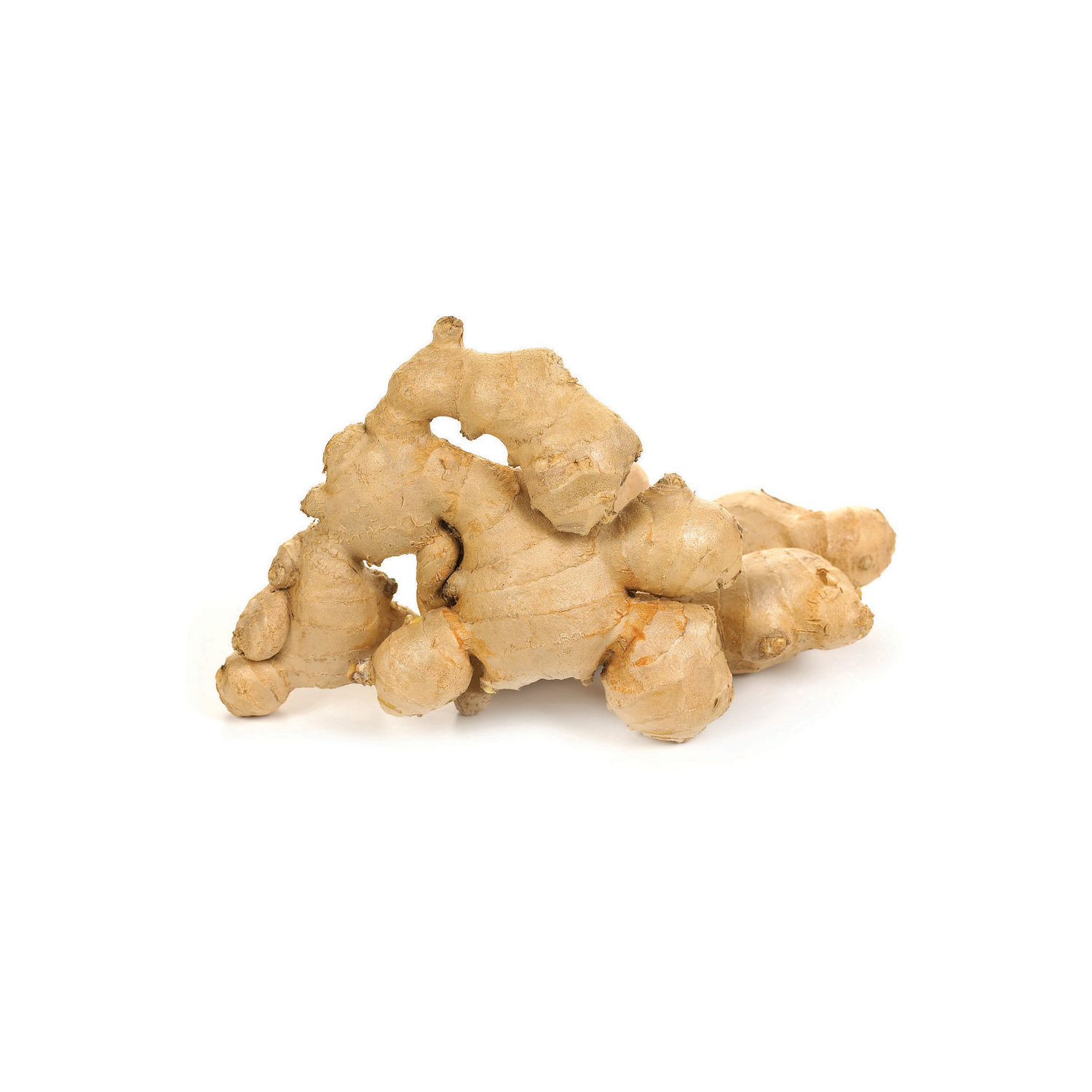 Detail Pic Of Ginger Root Nomer 40