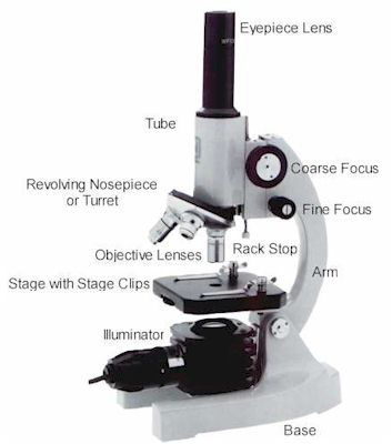 Detail Pic Of Microscope Nomer 20