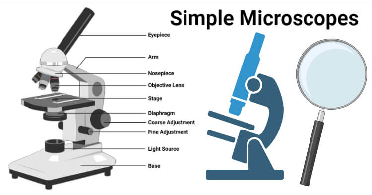 Detail Pic Of Microscope Nomer 29