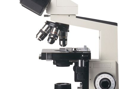 Detail Pic Of Microscope Nomer 34