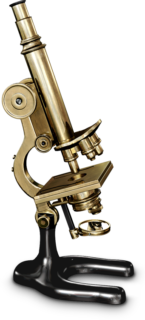 Detail Pic Of Microscope Nomer 40