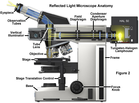 Detail Pic Of Microscope Nomer 55