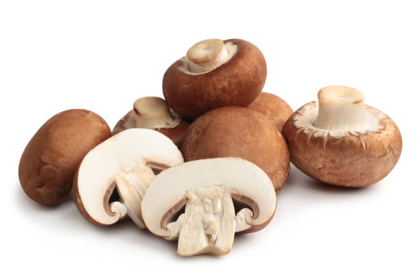 Detail Pic Of Mushroom Nomer 13