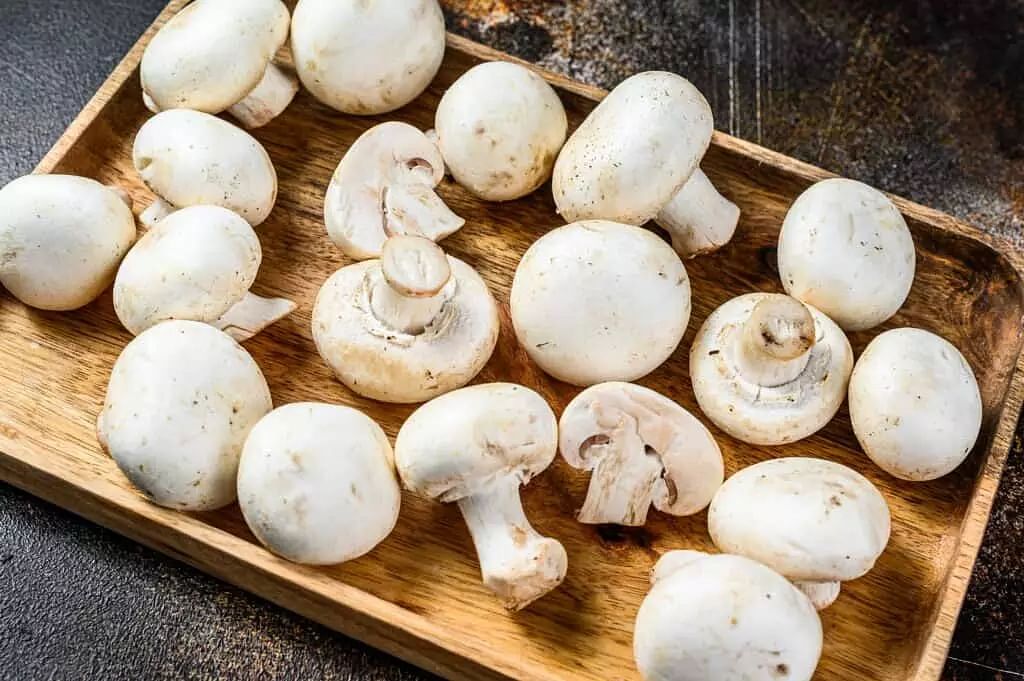 Detail Pic Of Mushroom Nomer 19