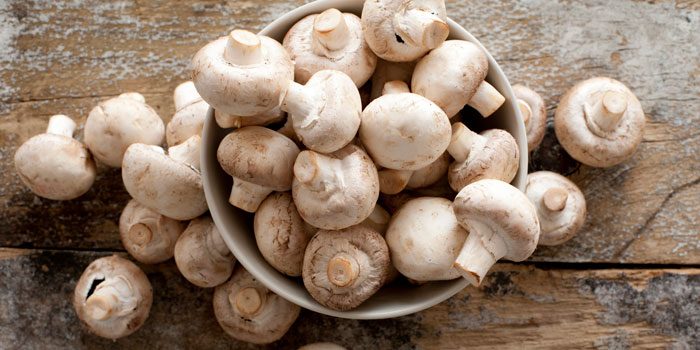 Detail Pic Of Mushroom Nomer 24