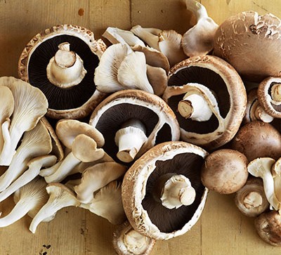 Detail Pic Of Mushroom Nomer 37