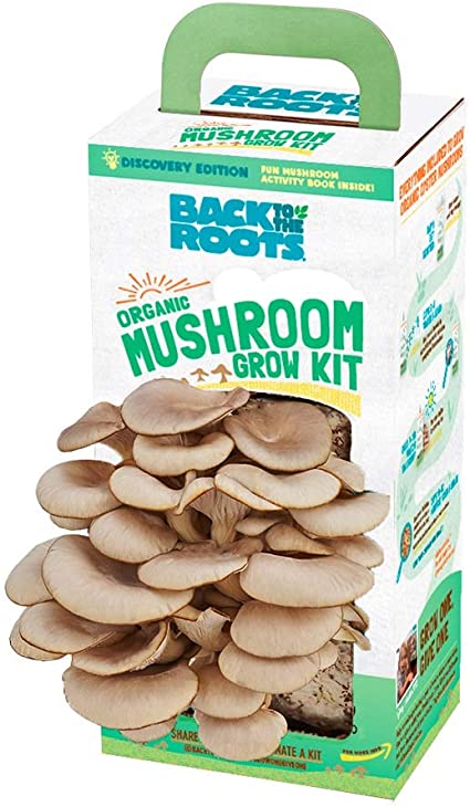 Detail Pic Of Mushroom Nomer 39