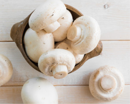 Detail Pic Of Mushroom Nomer 41