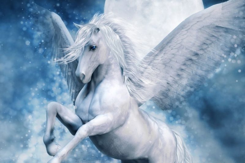 Pic Of Pegasus - KibrisPDR