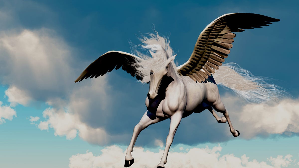 Detail Pic Of Pegasus Nomer 22