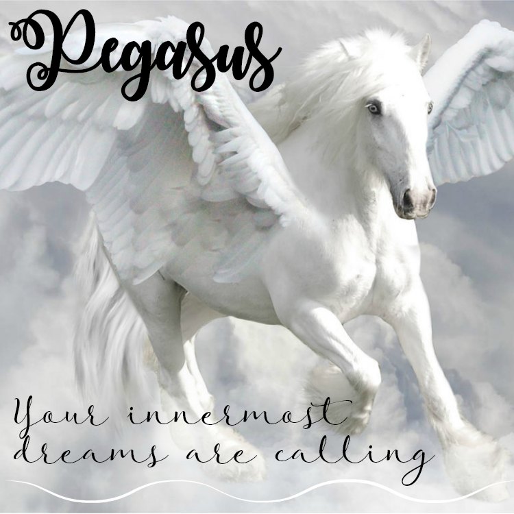 Detail Pic Of Pegasus Nomer 35