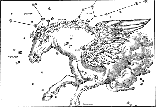 Detail Pic Of Pegasus Nomer 55