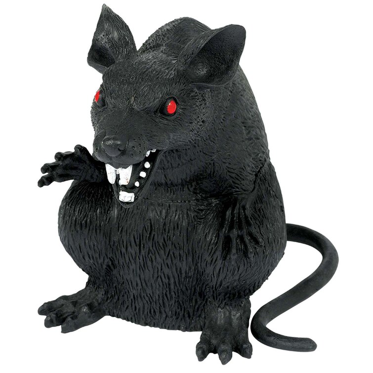 Detail Pic Of Rat Nomer 24