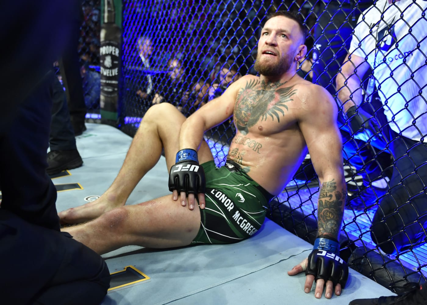 Detail Mcgregor Image Nomer 11