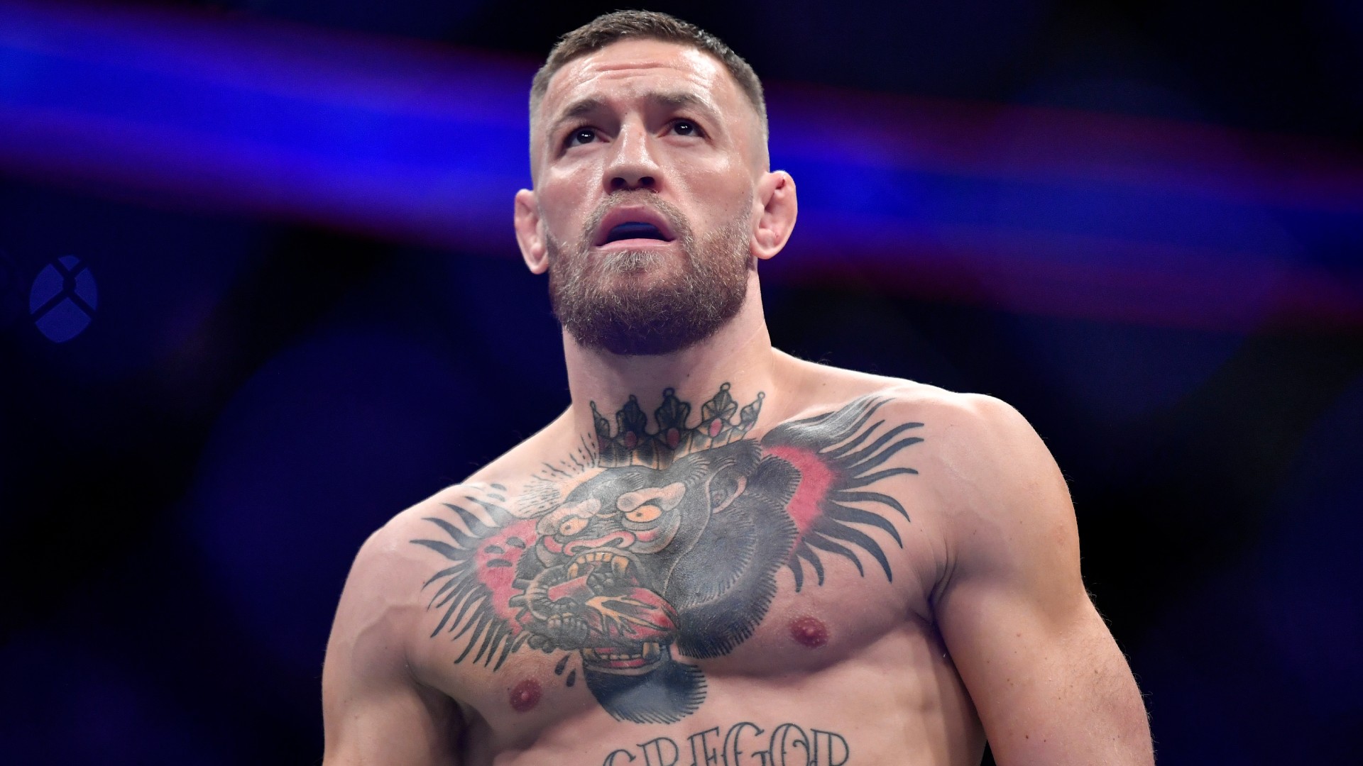 Detail Mcgregor Image Nomer 12