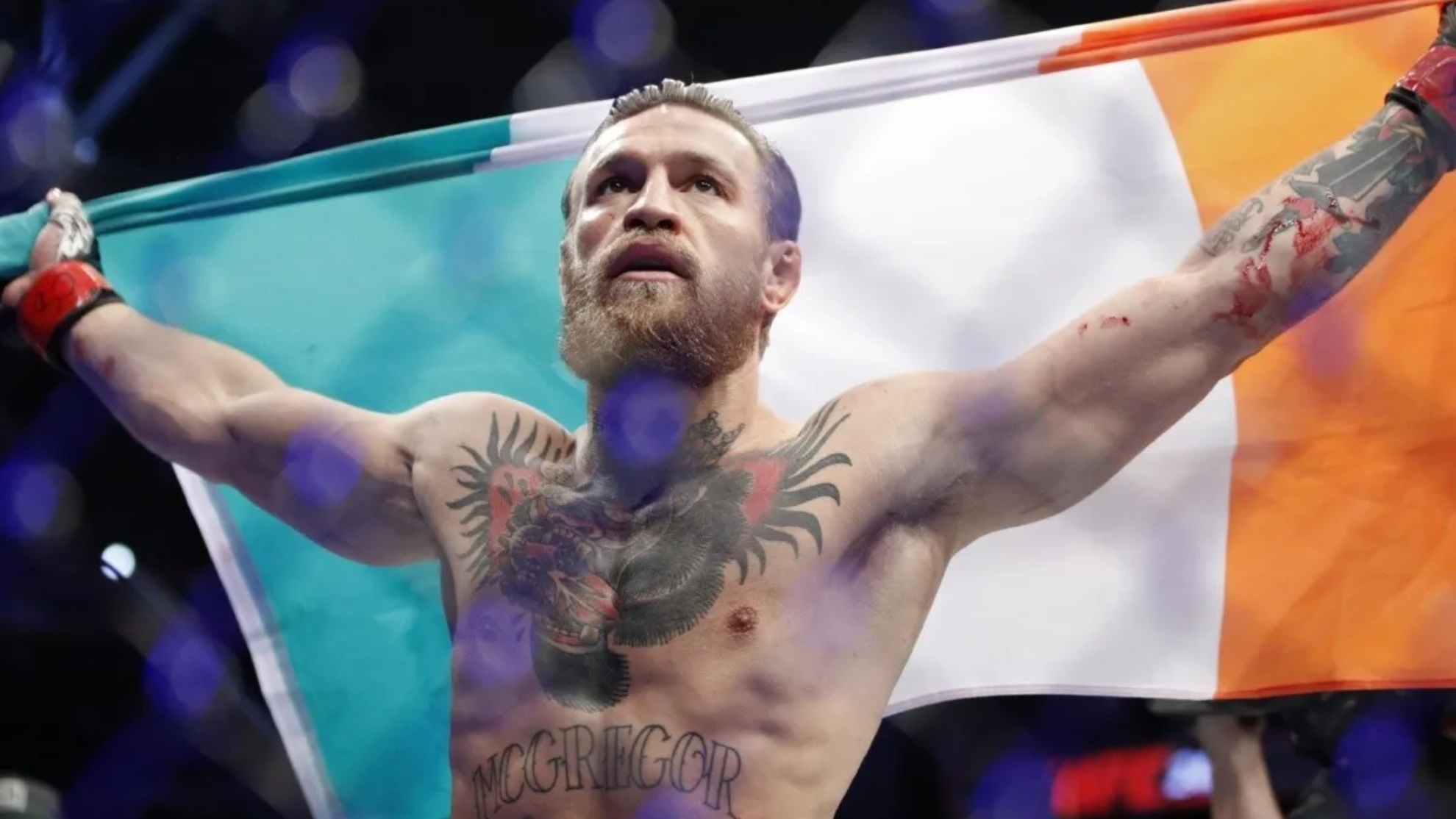 Detail Mcgregor Image Nomer 15