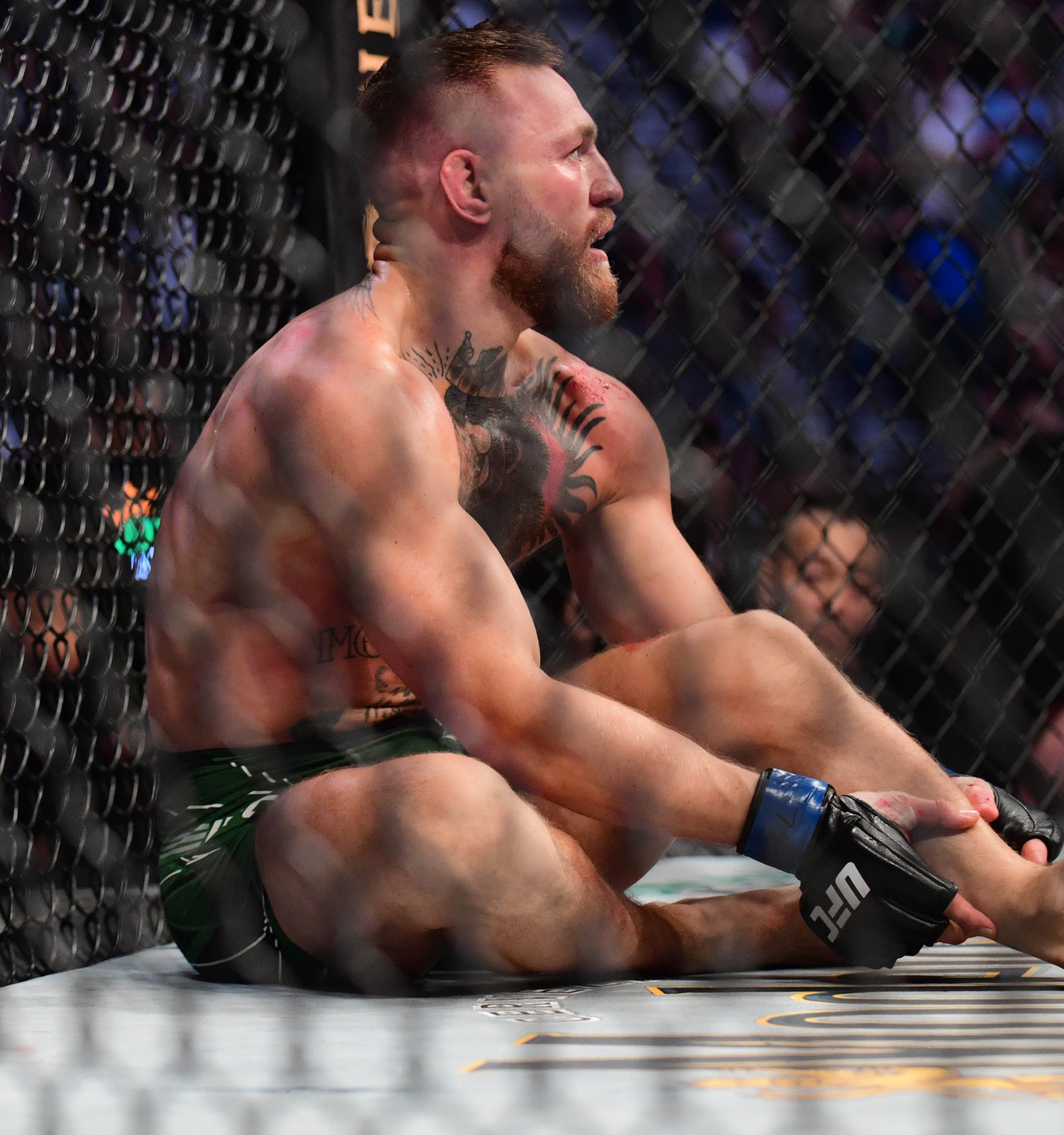 Detail Mcgregor Image Nomer 50