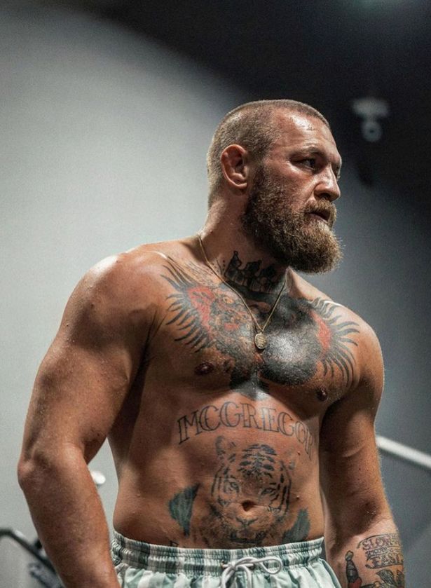 Detail Mcgregor Pic Nomer 15