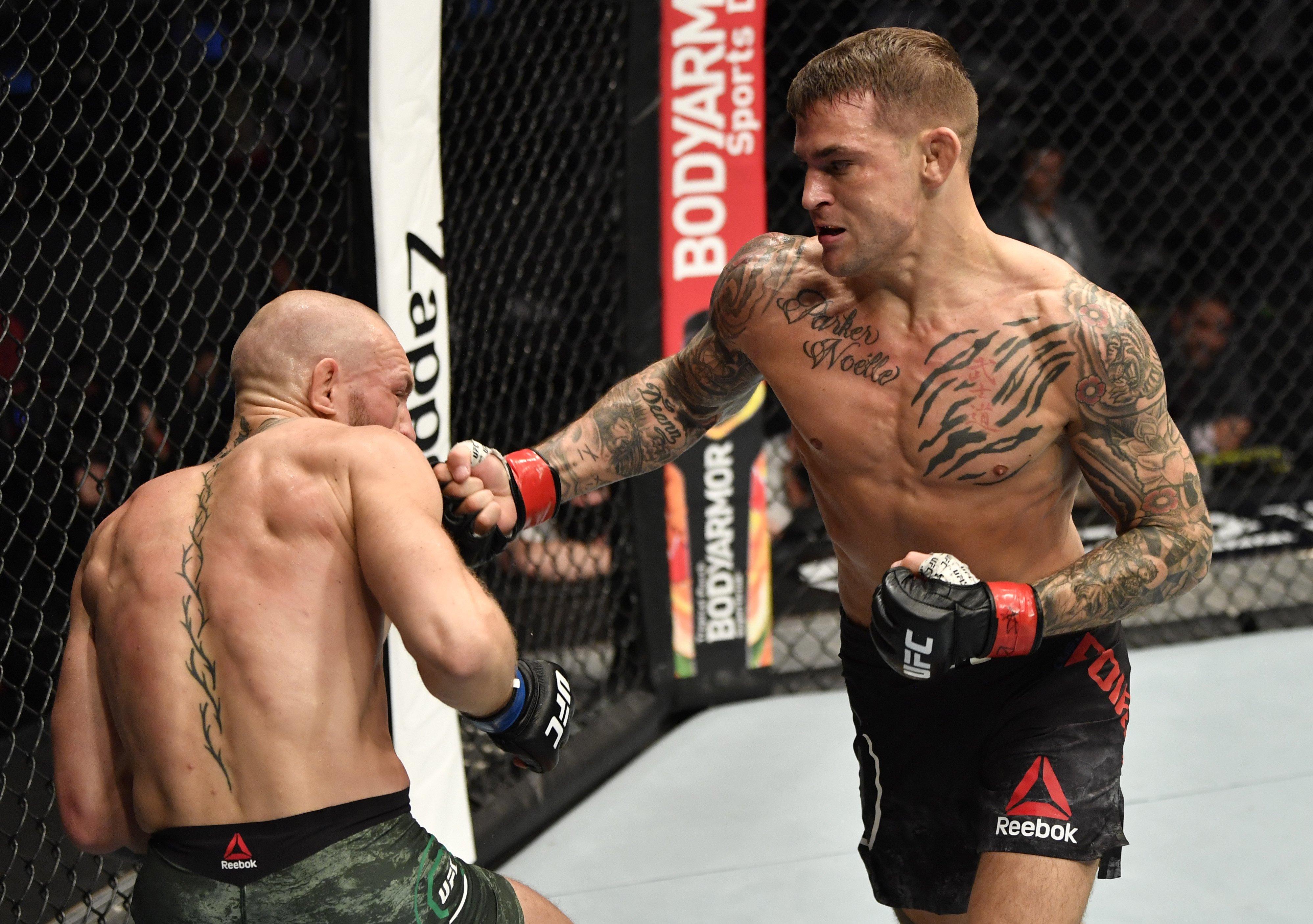 Detail Mcgregor Pic Nomer 21