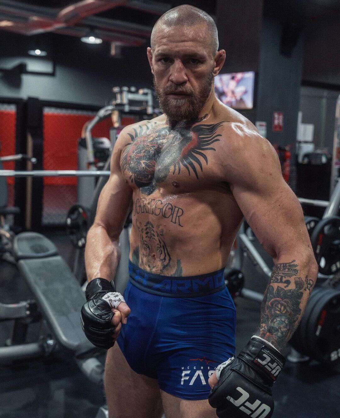 Detail Mcgregor Pic Nomer 25