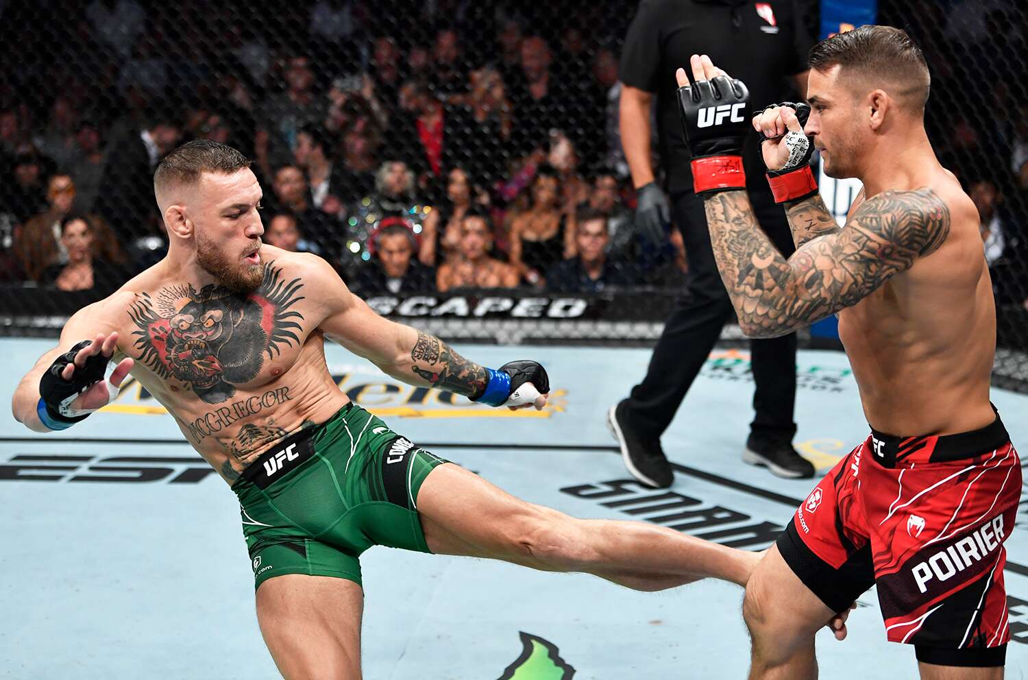 Detail Mcgregor Pic Nomer 38