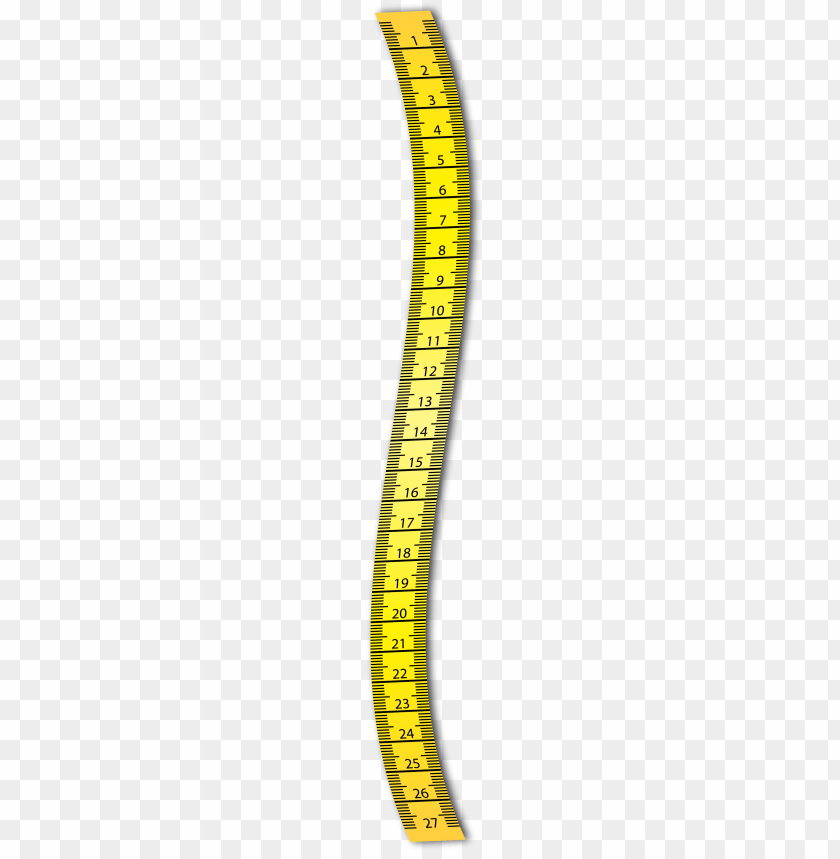 Detail Measuring Tape Transparent Background Nomer 25