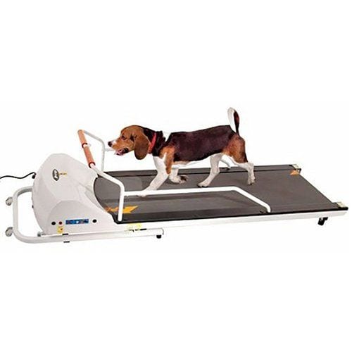 Detail Mechanical Dog Treadmill Nomer 3