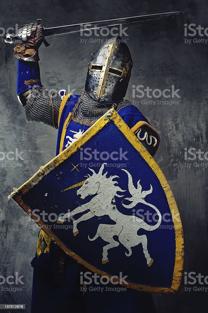 Detail Medieval Knight Image Nomer 48