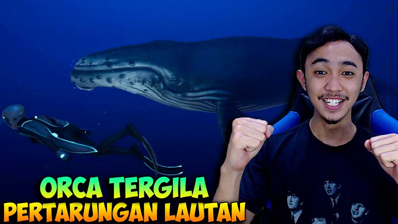 Megalodon Vs Paus Pembunuh - KibrisPDR